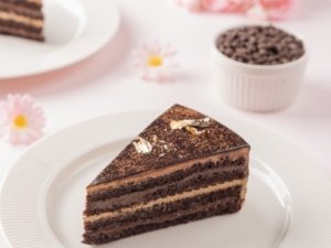 Chocolate Opera Pastry