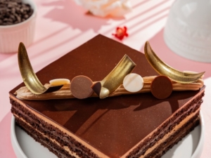 Chocolate Opera Cake