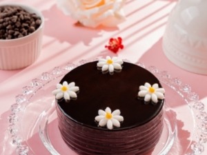 Bento Dutch Truffle Cake