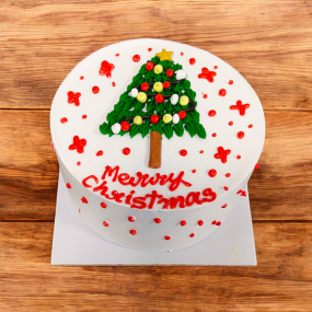 Merry Christmas Cake