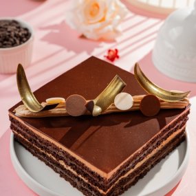 Chocolate Opera Cake