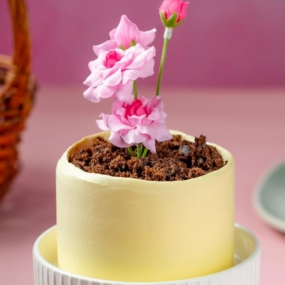 Chocolate Plant Bento Cake