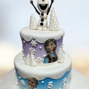 Frozen Cake